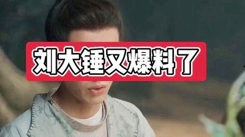 刘大锤娱乐爆料视频,揭秘娱乐圈幕后真相  第2张