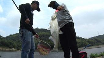 钓鱼爆料视频,视频爆料钓鱼技巧大公开 第3张 钓鱼爆料视频,视频爆料钓鱼技巧大公开 第3张