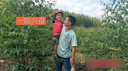 农村大树哥邻居爆料视频,揭秘农村大树哥神秘生活片段 第2张 农村大树哥邻居爆料视频,揭秘农村大树哥神秘生活片段 第2张