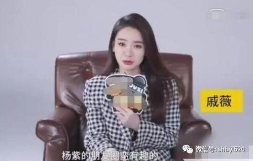 杨紫微博爆料事件最新消息,真相揭晓,疑云散去 第2张 杨紫微博爆料事件最新消息,真相揭晓,疑云散去 第2张